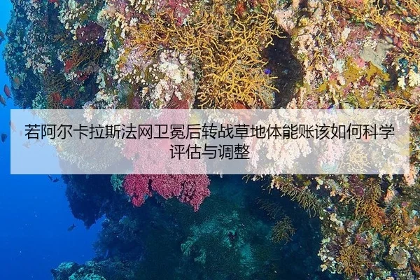 若阿尔卡拉斯法网卫冕后转战草地体能账该如何科学评估与调整