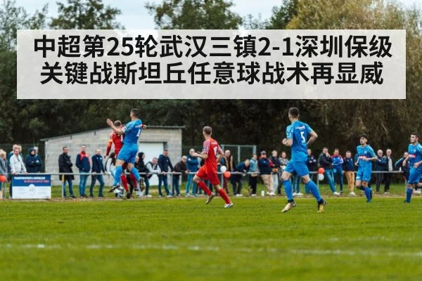 中超第25轮武汉三镇2-1深圳保级关键战斯坦丘任意球战术再显威